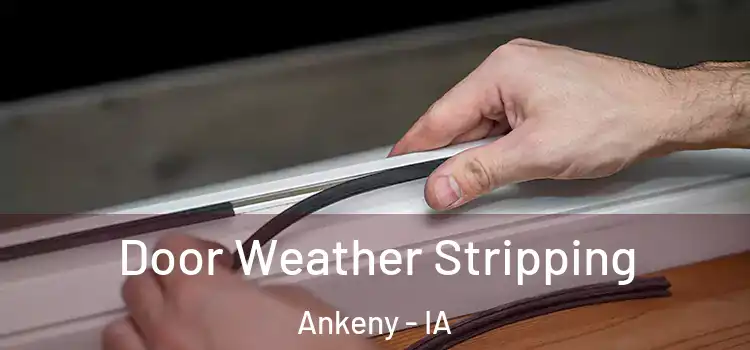 Door Weather Stripping Ankeny - IA