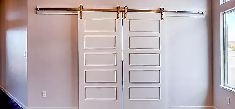 Glass Barn Door with Installation Hardware Kit Ankeny