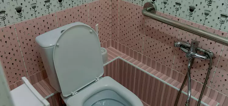 Meeting Diverse Needs With Accessible Restroom Solutions in Ankeny, IA