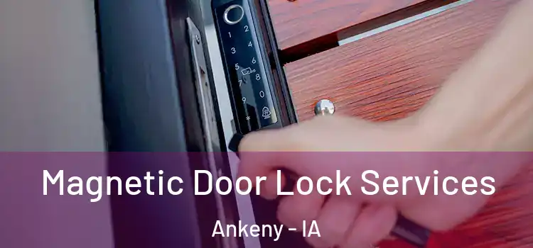 Magnetic Door Lock Services Ankeny - IA